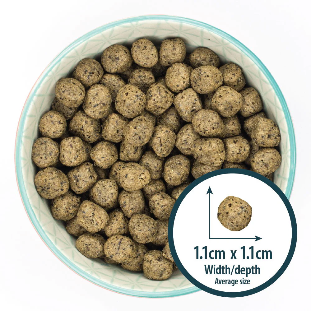 Burns Sensitive Grain Free Adult & Senior Dry Dog Food Turkey & Potato 2kg - Image 4