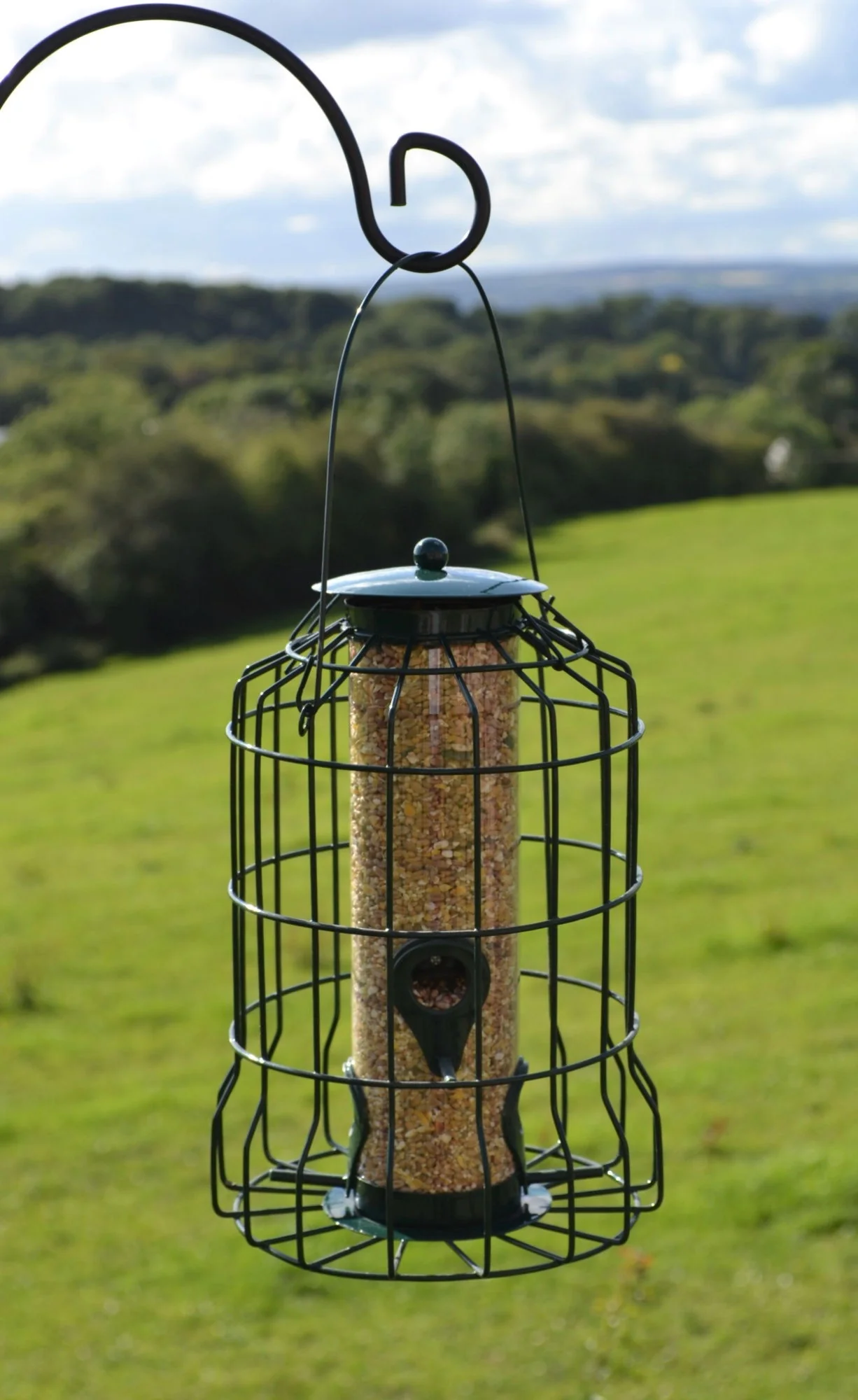 Caged Seed Feeder - Image 2
