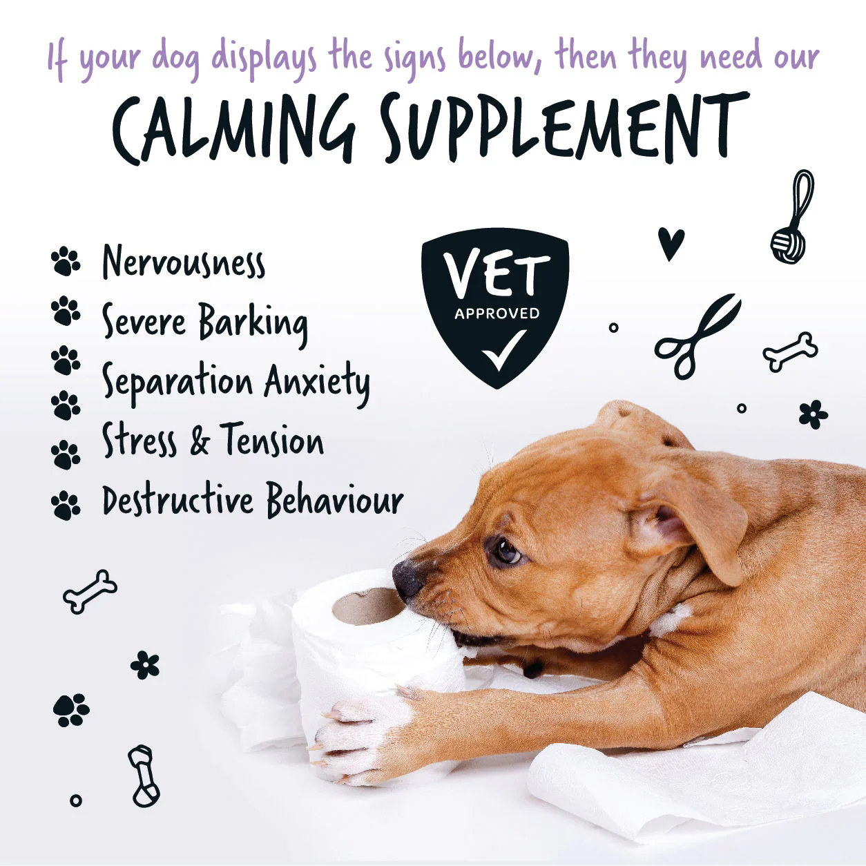 Calming Powder Supplement 200g Pot with spoon - Image 5