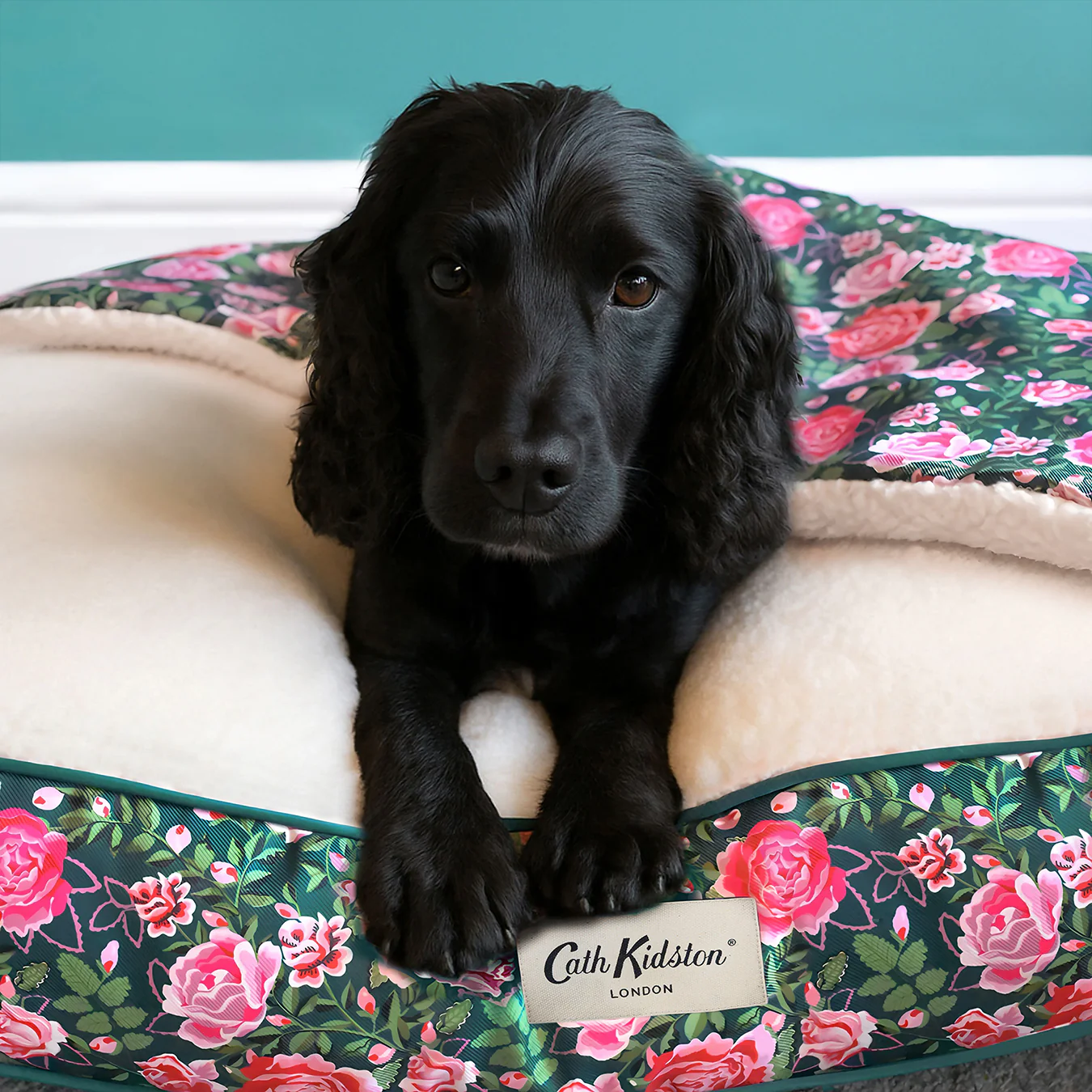 Cath Kidston Dolly Rose Pet Blanket - Image 4