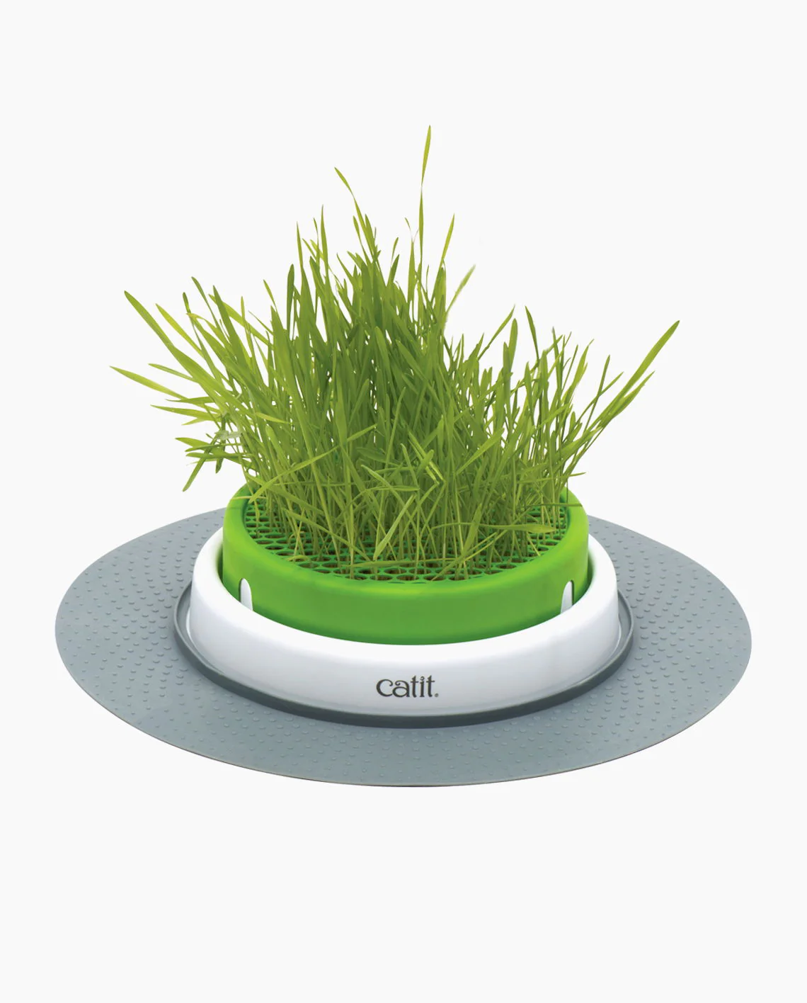 Catit Senses 2.0 Grass Planter - Image 3