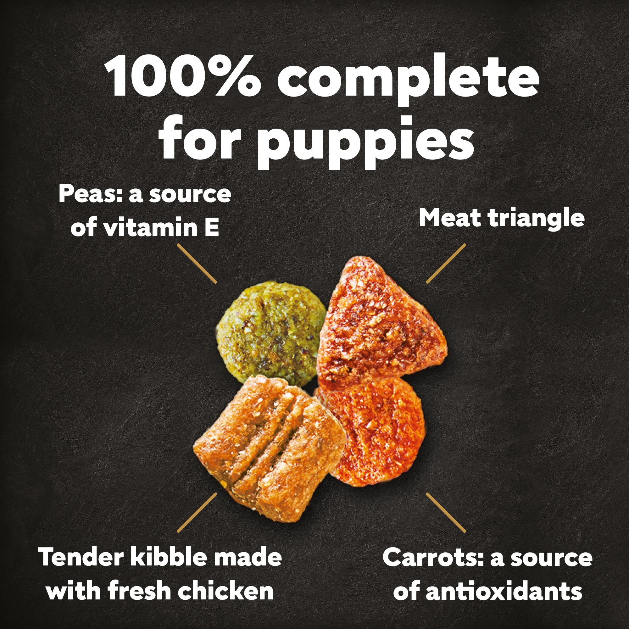 Cesar Dog Complete Dry Puppy with Chicken Rice and Veg 1.4kg - Image 2