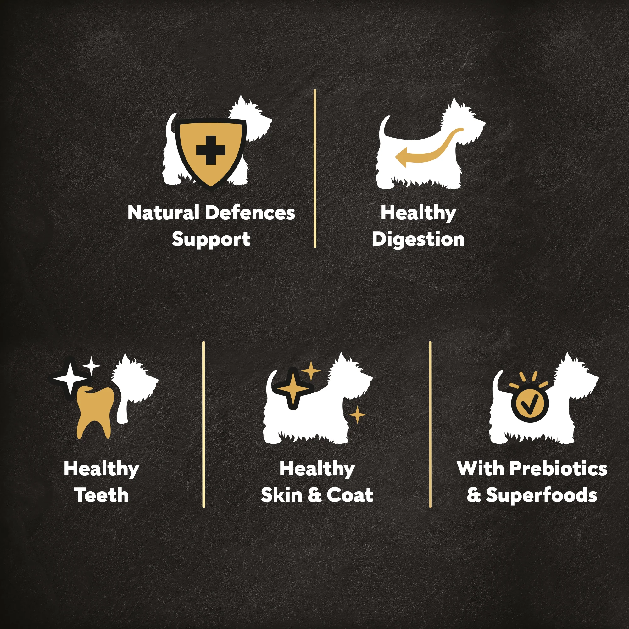 Cesar Dog Complete Dry with Beef  Poultry and Veg 1.4kg - Image 3