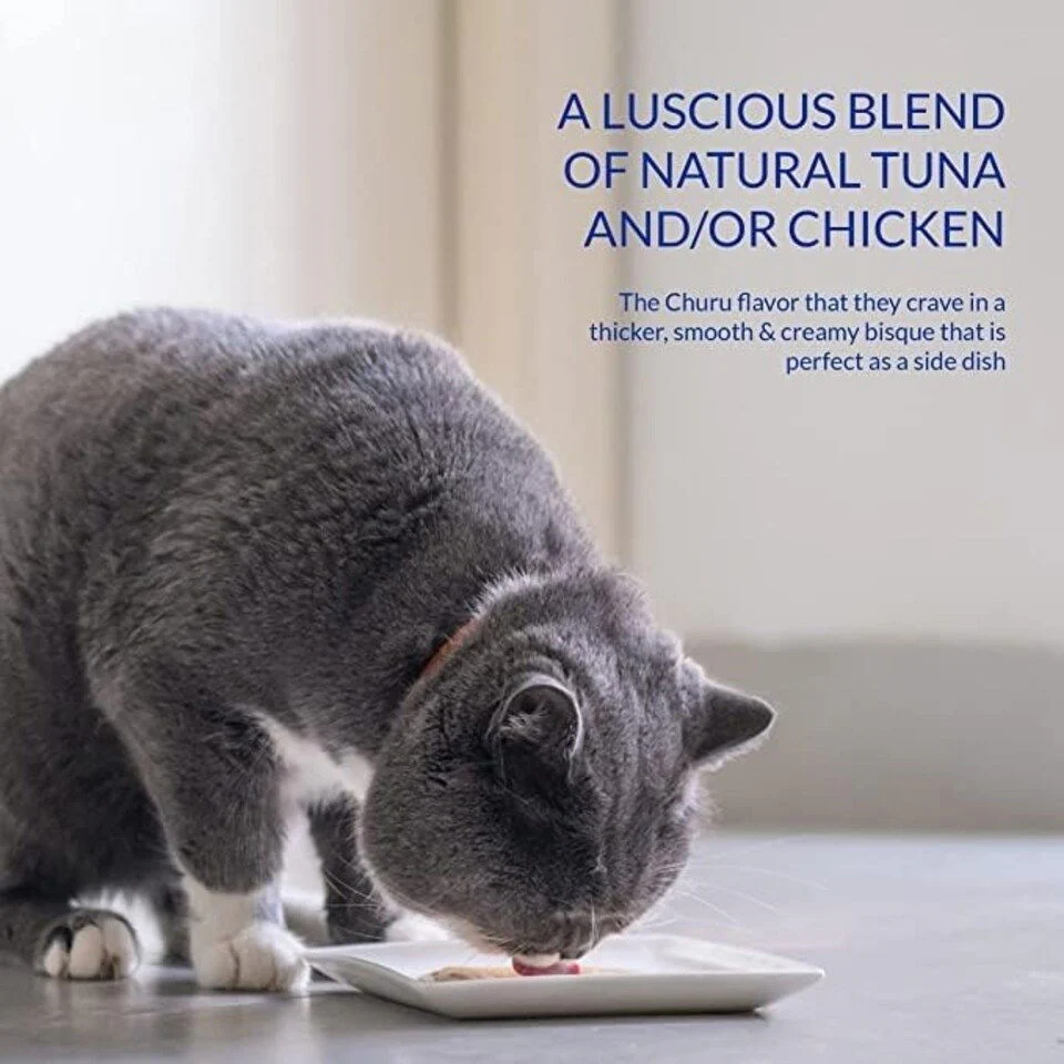 CIAO Bisque Chicken Recipe - Image 2