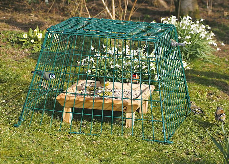 Cj Ground Guard Lge Mesh Green - Image 2