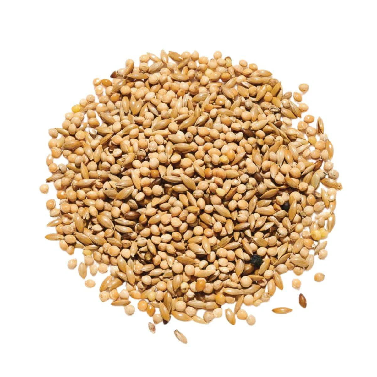 Countrywide Best Budgie 50/50 Mix 20kg - Image 2