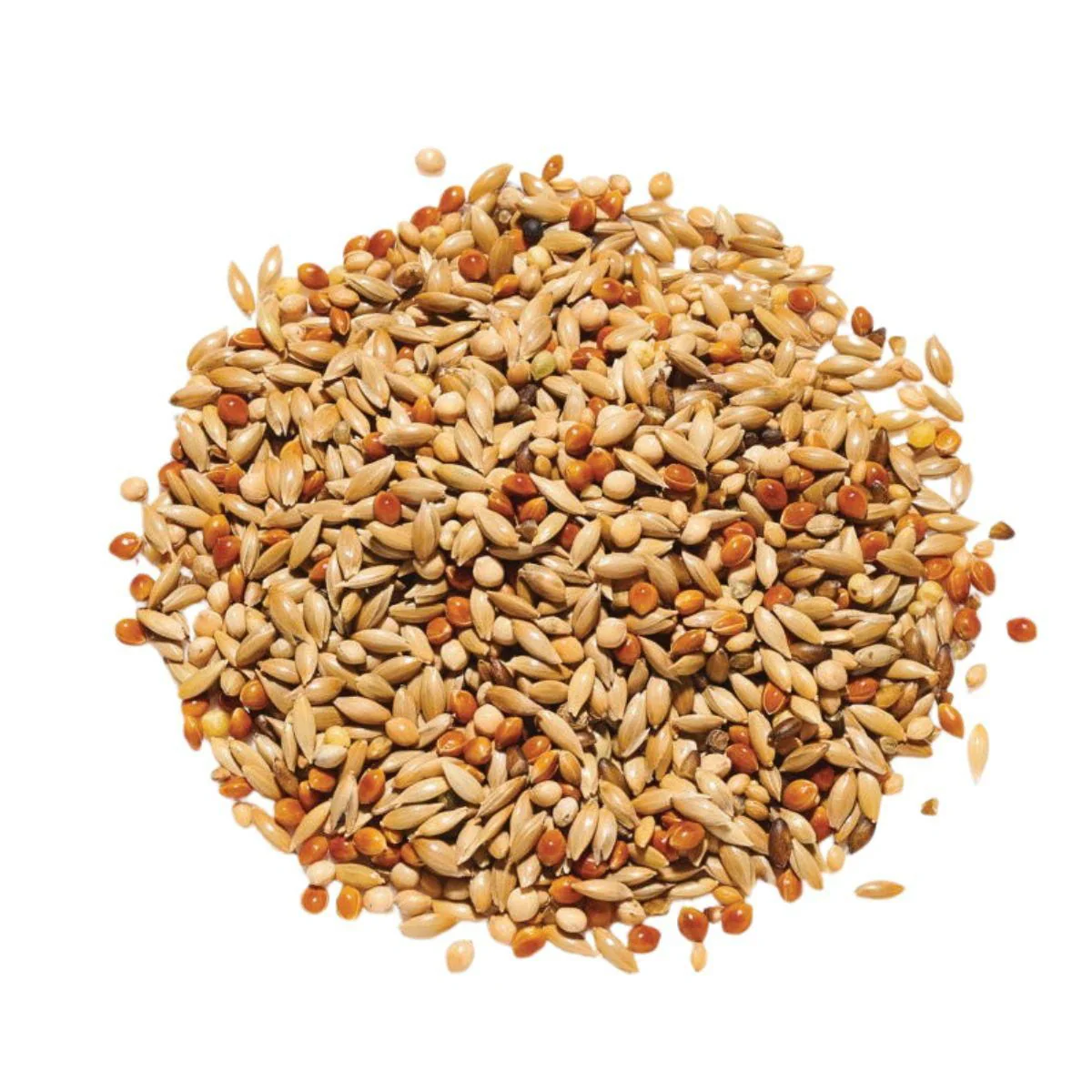 Countrywide Champions Budgie Breeders 60/40 Mix 20kg - Image 2