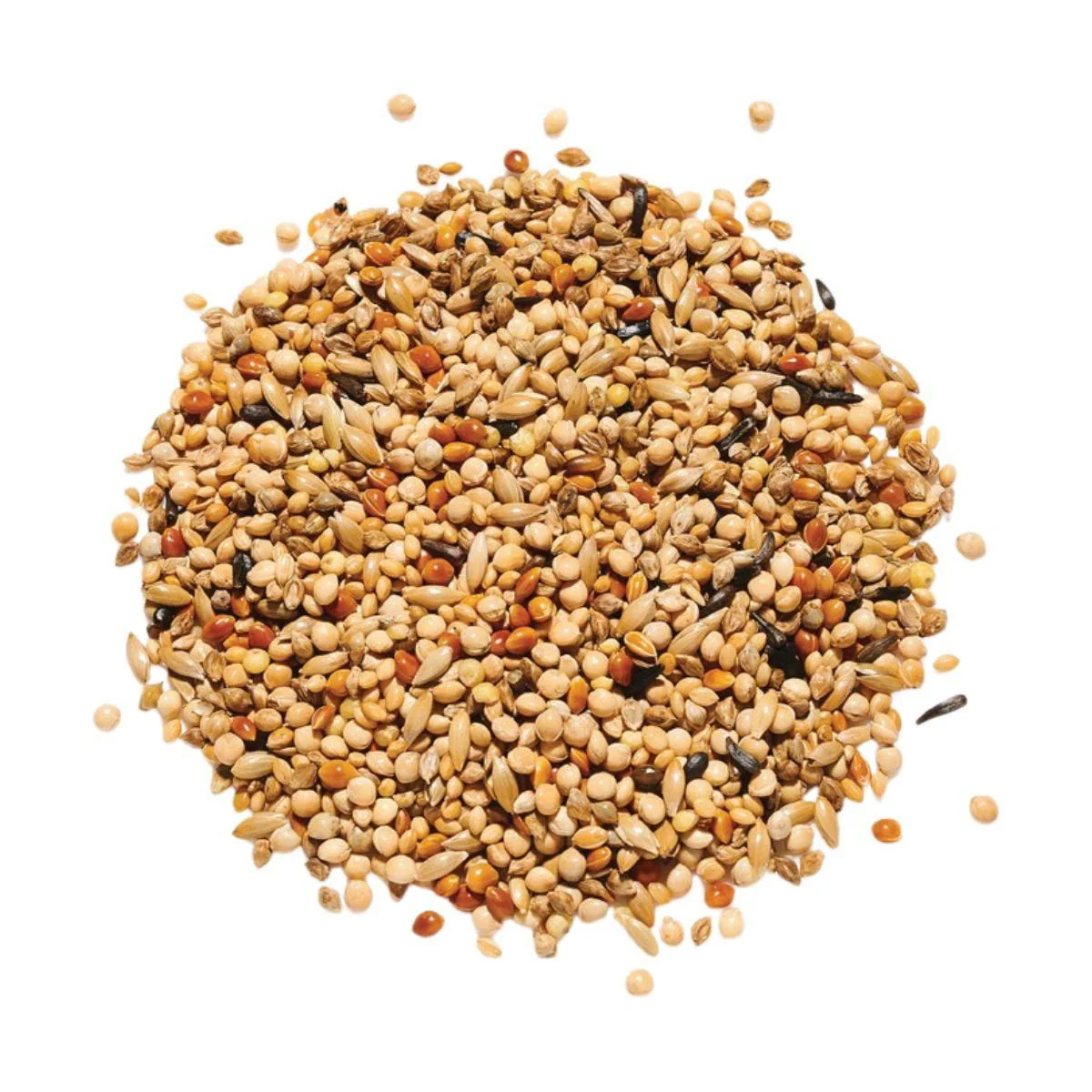 Countrywide Deluxe Tropical Foreign Finch 20kg - Image 2