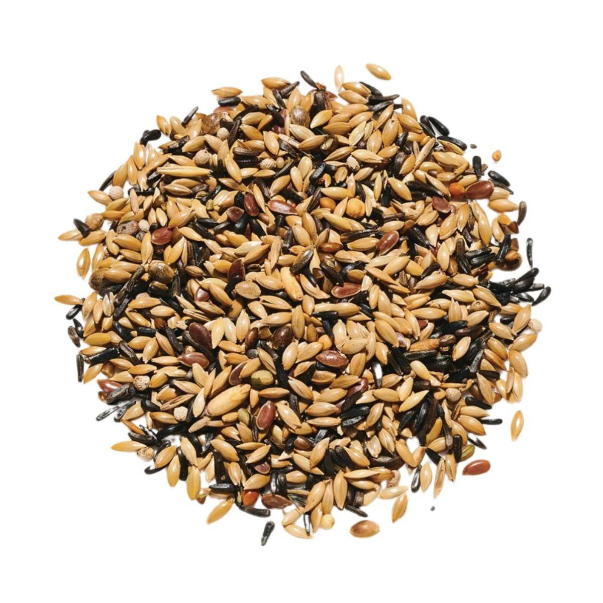 Countrywide No Rape Canary Breeders Mix 20kg - Image 2