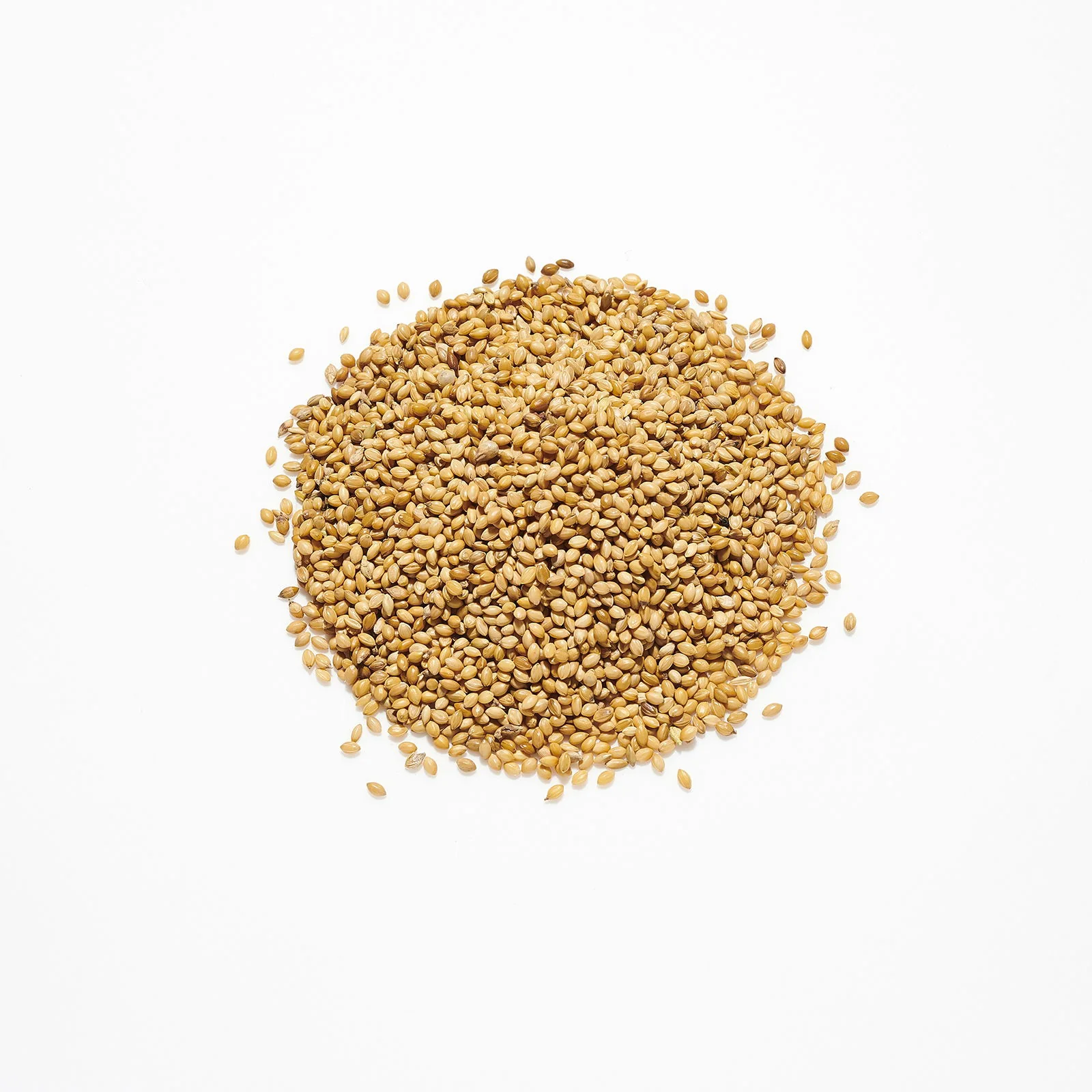 Countrywide Panicum Millet Seed 20kg - Image 2