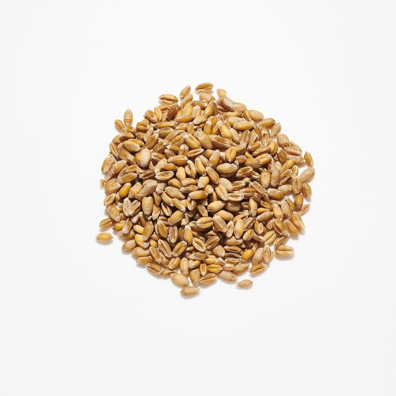 Countrywide Pigeon Wheat 20kg - Image 2