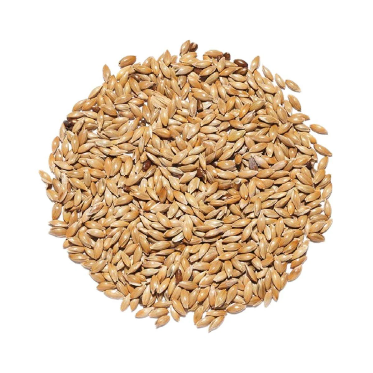 Countrywide Plain Canary Seed 20kg - Image 2