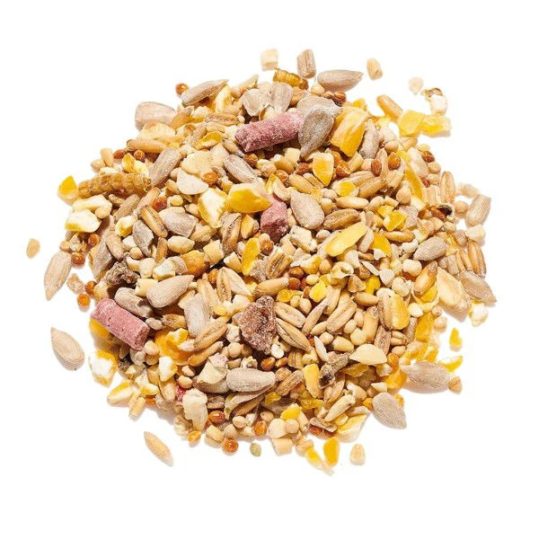 Countrywide Robin & Songbird Mix 15kg - Image 2