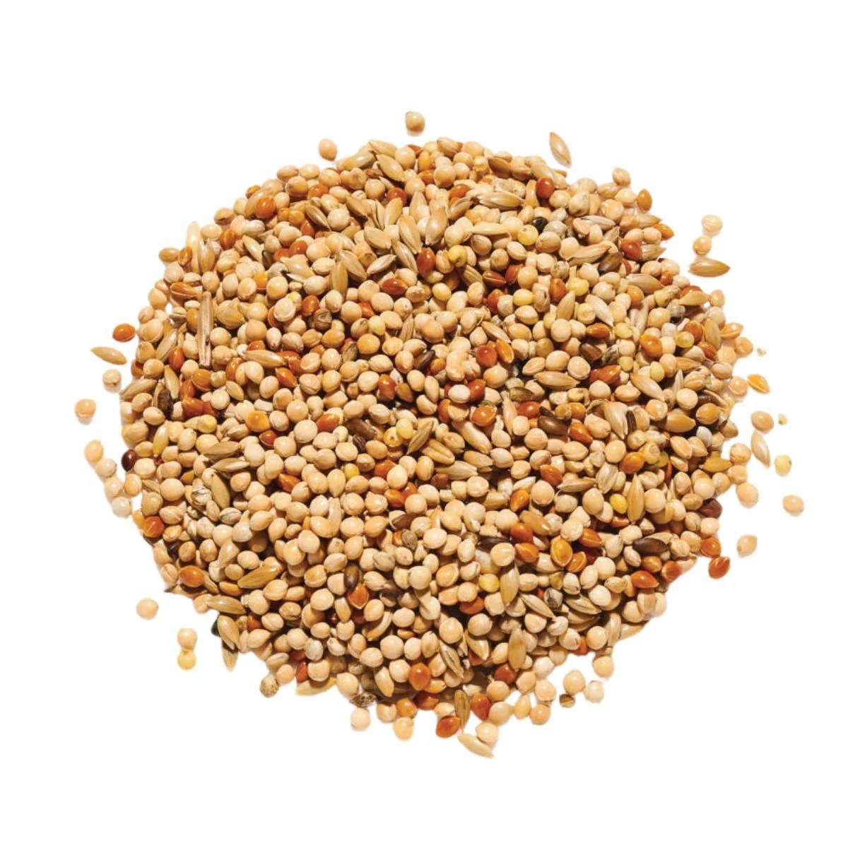 Countrywide Special Budgie 20/80 Mix 20kg - Image 2