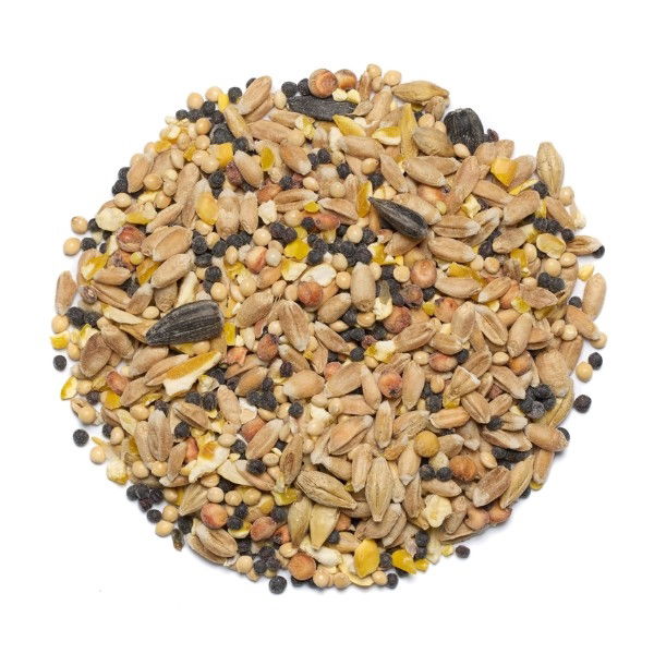 Countrywide Summer Season Wild Bird Mix 20kg - Image 2