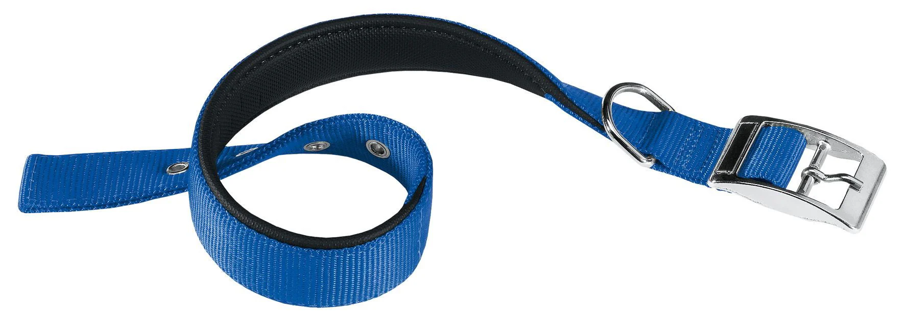 Daytona C25/53 Collar Blue