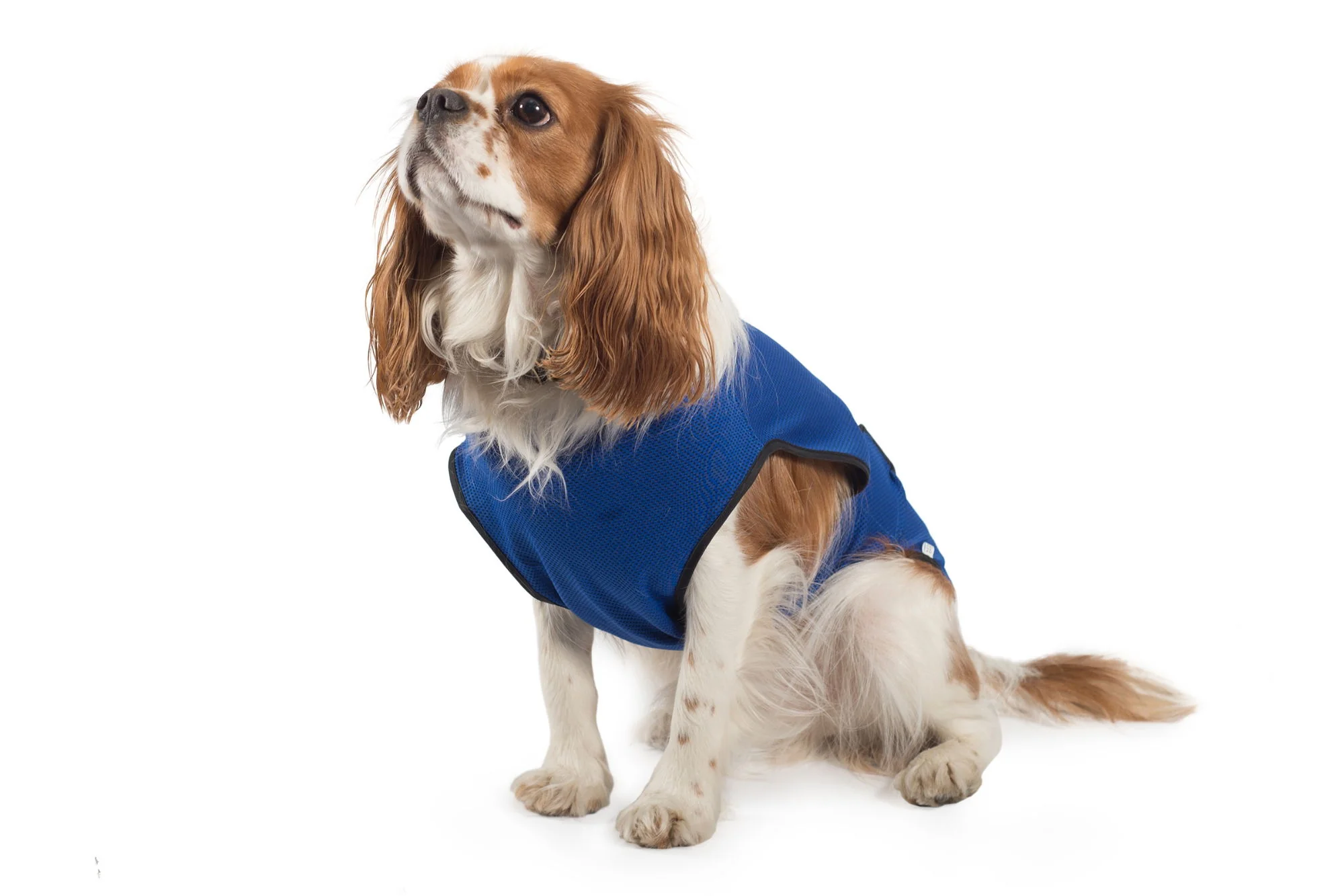 Dog Cooling Vest Small