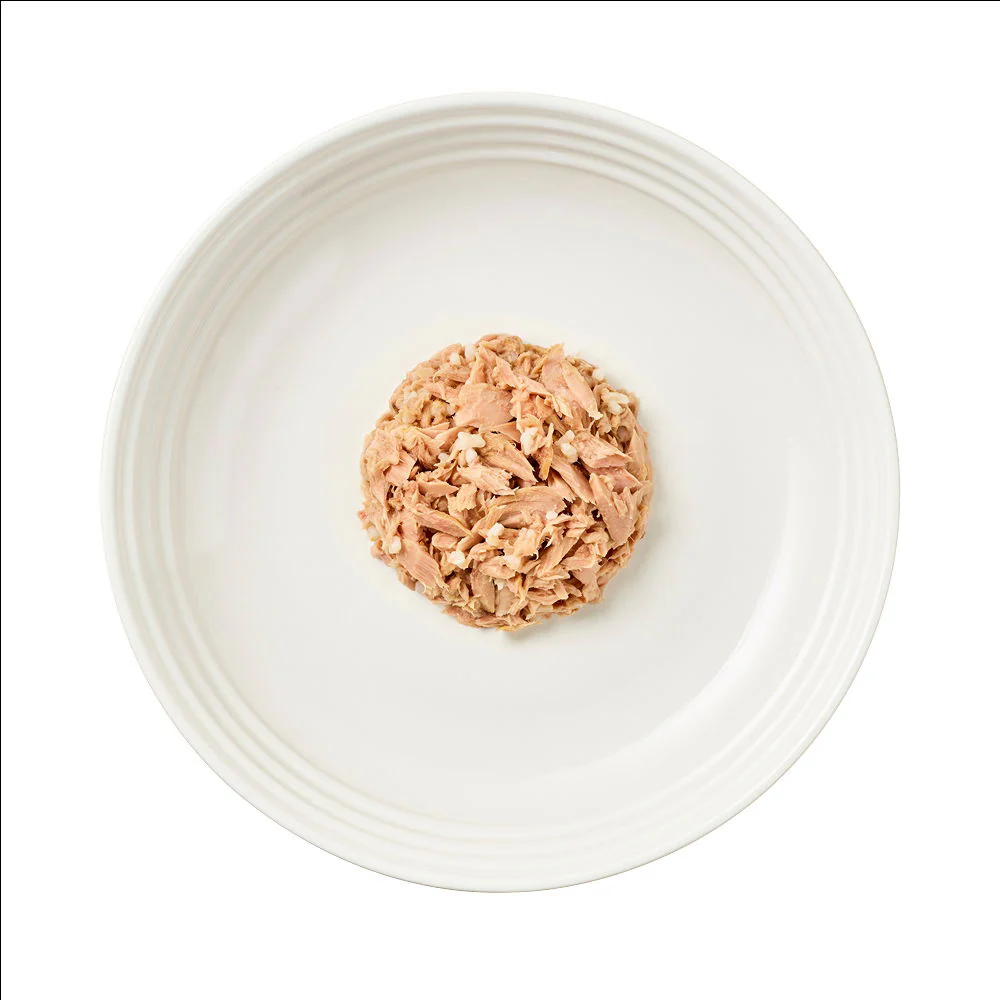 Encore Adult Wet Cat Food Pch Fish Selection in Jly 5x50g - Image 2