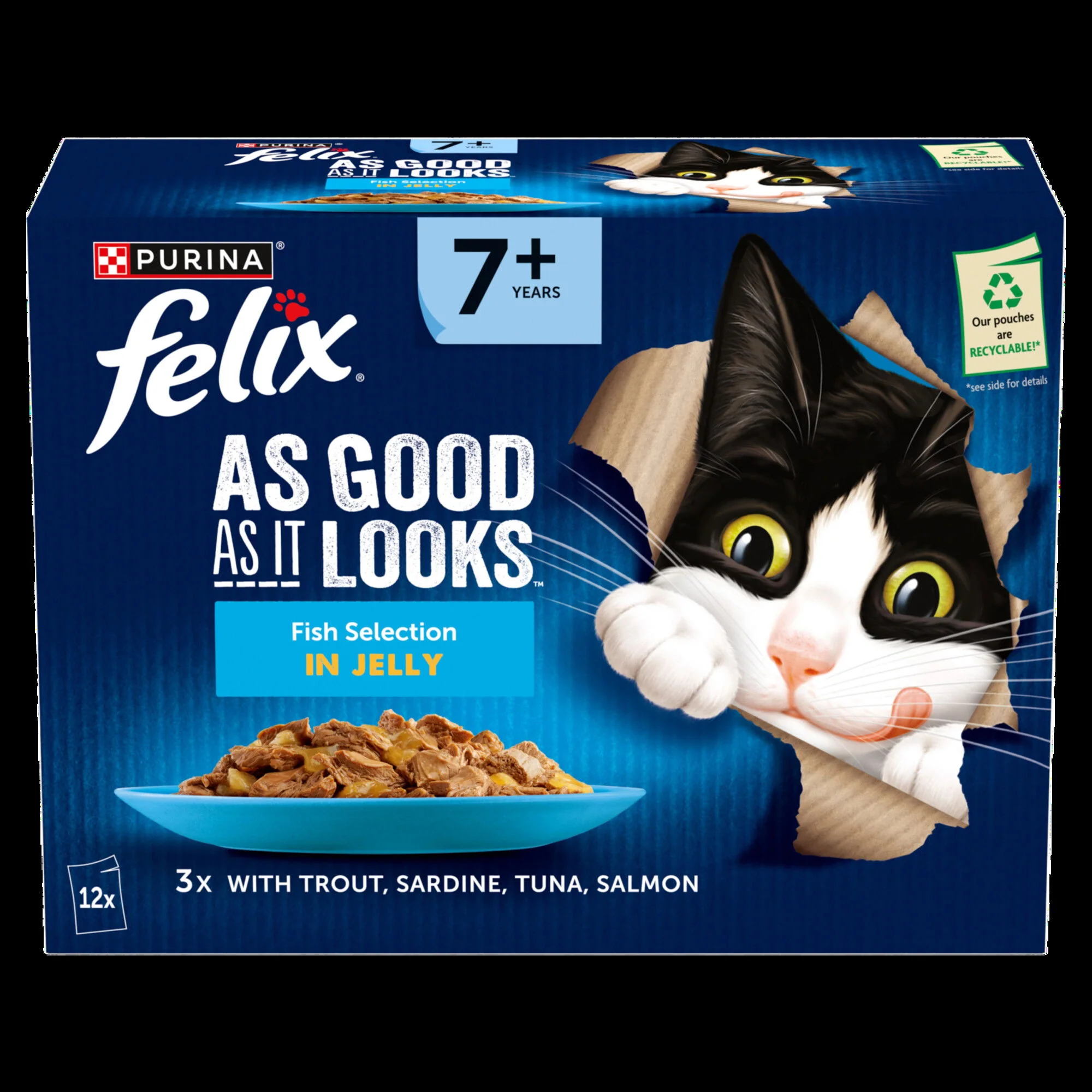 Felix AGAIL Senior Fish in Jelly (12x85g)