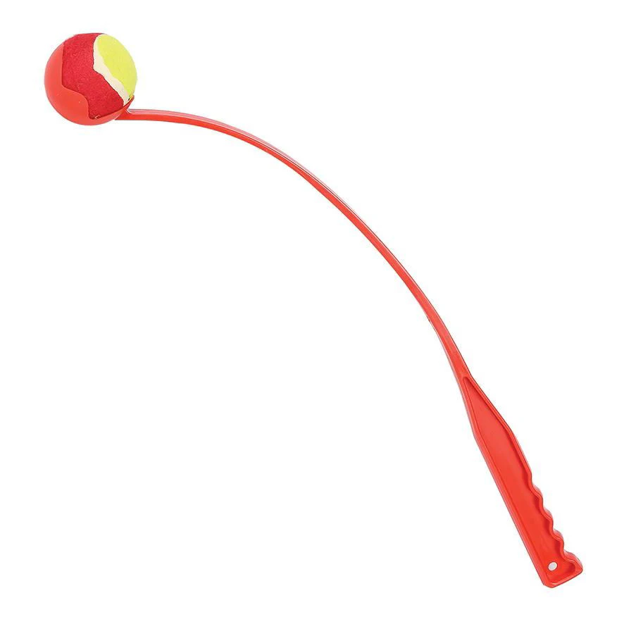 Fling 'n' Fetch