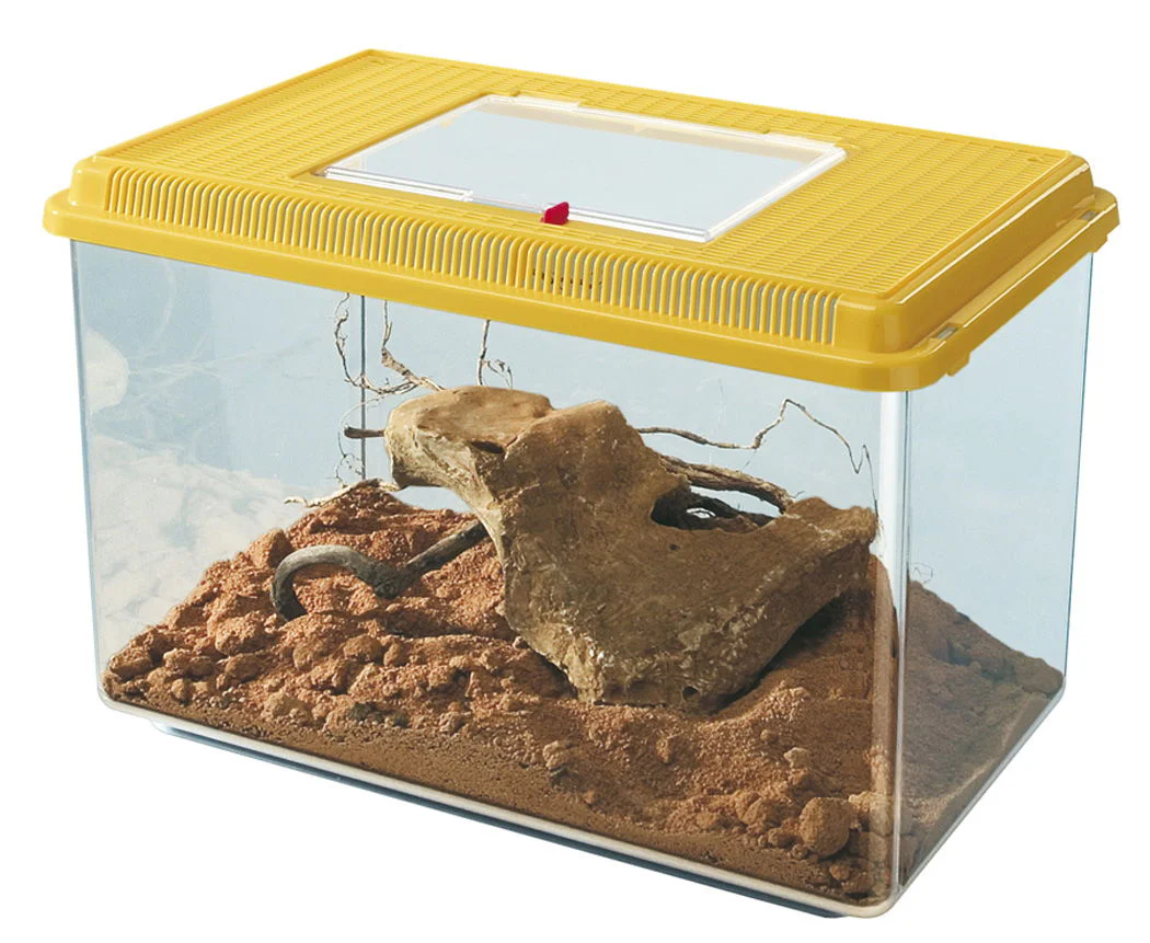 Geo Plastic Tank Maxi Mixed Colours 41.3x26x29.8cm
