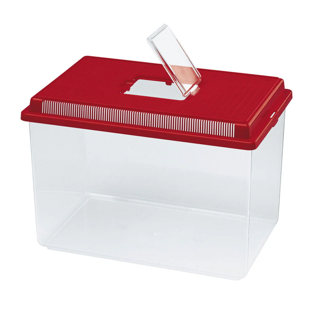 Geo Plastic Tank XLge Mixed Colours 35.6x23.4x22.8cm