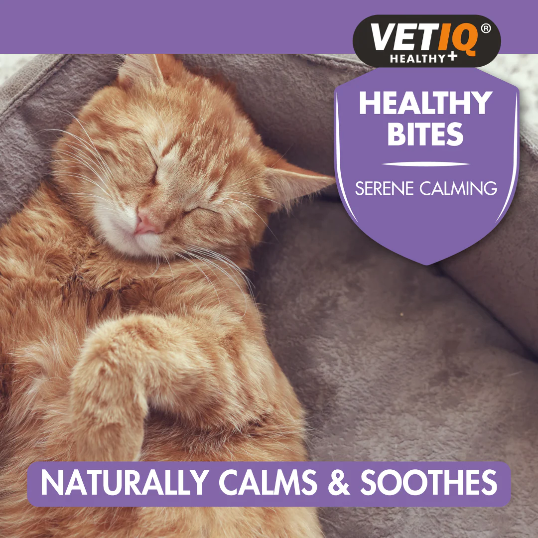 Healthy Bites Serene Calming 65g - Image 3