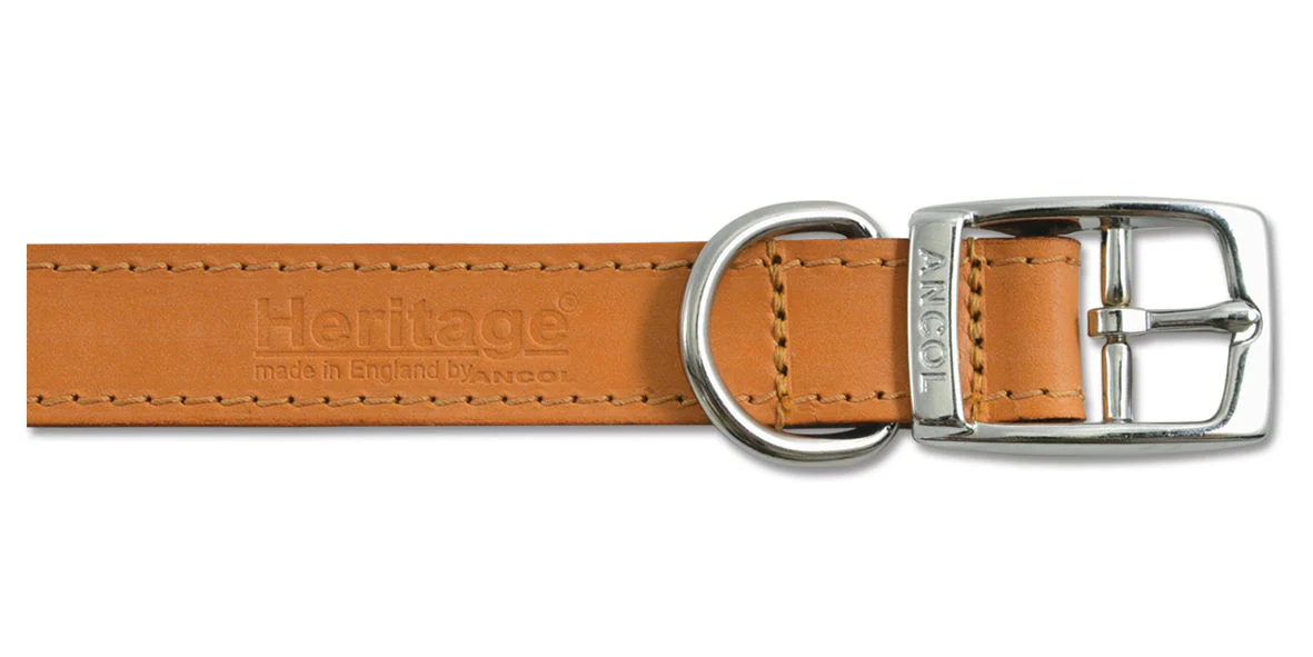 Heritage Leather Collar Tan 16mm X28-36cm Sz 3