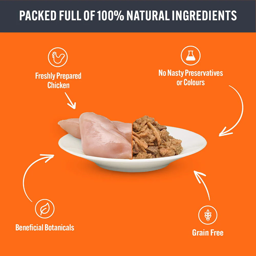 Hilife Natural Cat Pch The Big Chicken One In Jelly 32x70g - Image 3