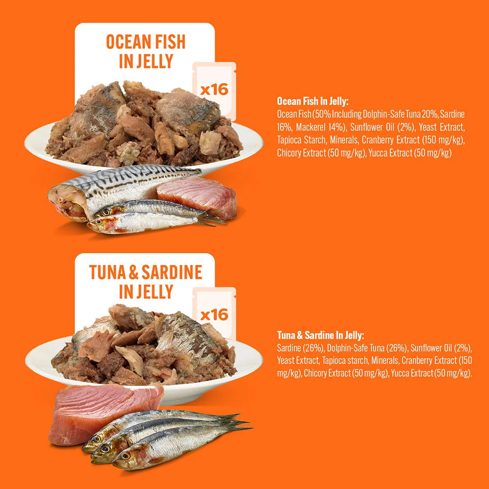 Hilife Natural Cat Pch The Big Fishy One In Jelly 32x70g