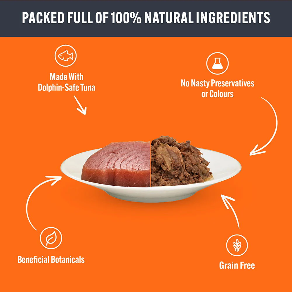 Hilife Natural Cat Pch The Big Fishy One In Jelly 32x70g - Image 2