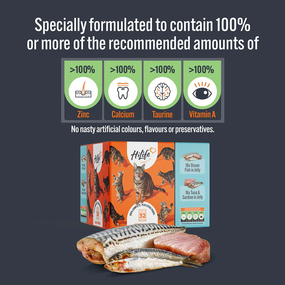 Hilife Natural Cat Pch The Big Fishy One In Jelly 32x70g - Image 3