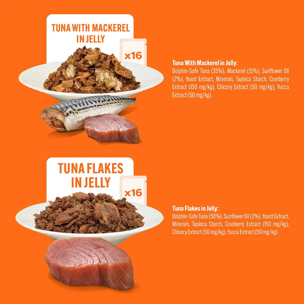 Hilife Natural Cat Pch The Big Tuna One In Jelly 32x70g - Image 2
