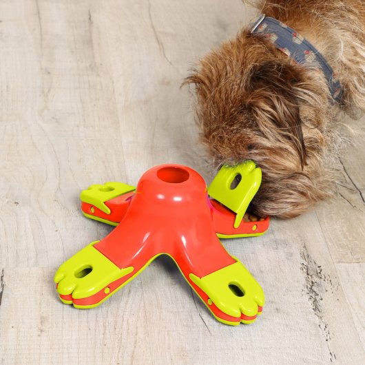Iquties Active Training Kibble Drop - Image 3