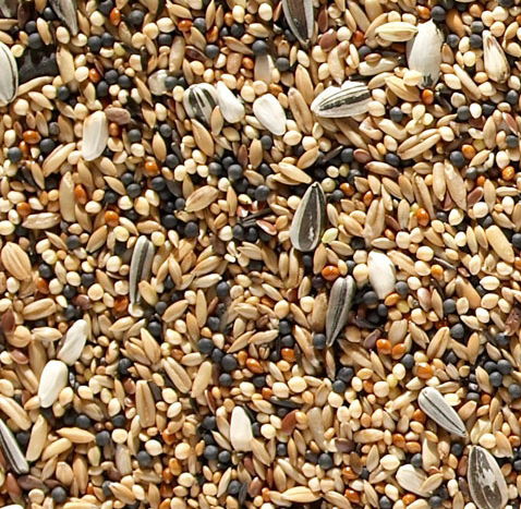 J&j Aviary Bird Mix 12.75kg - Image 2