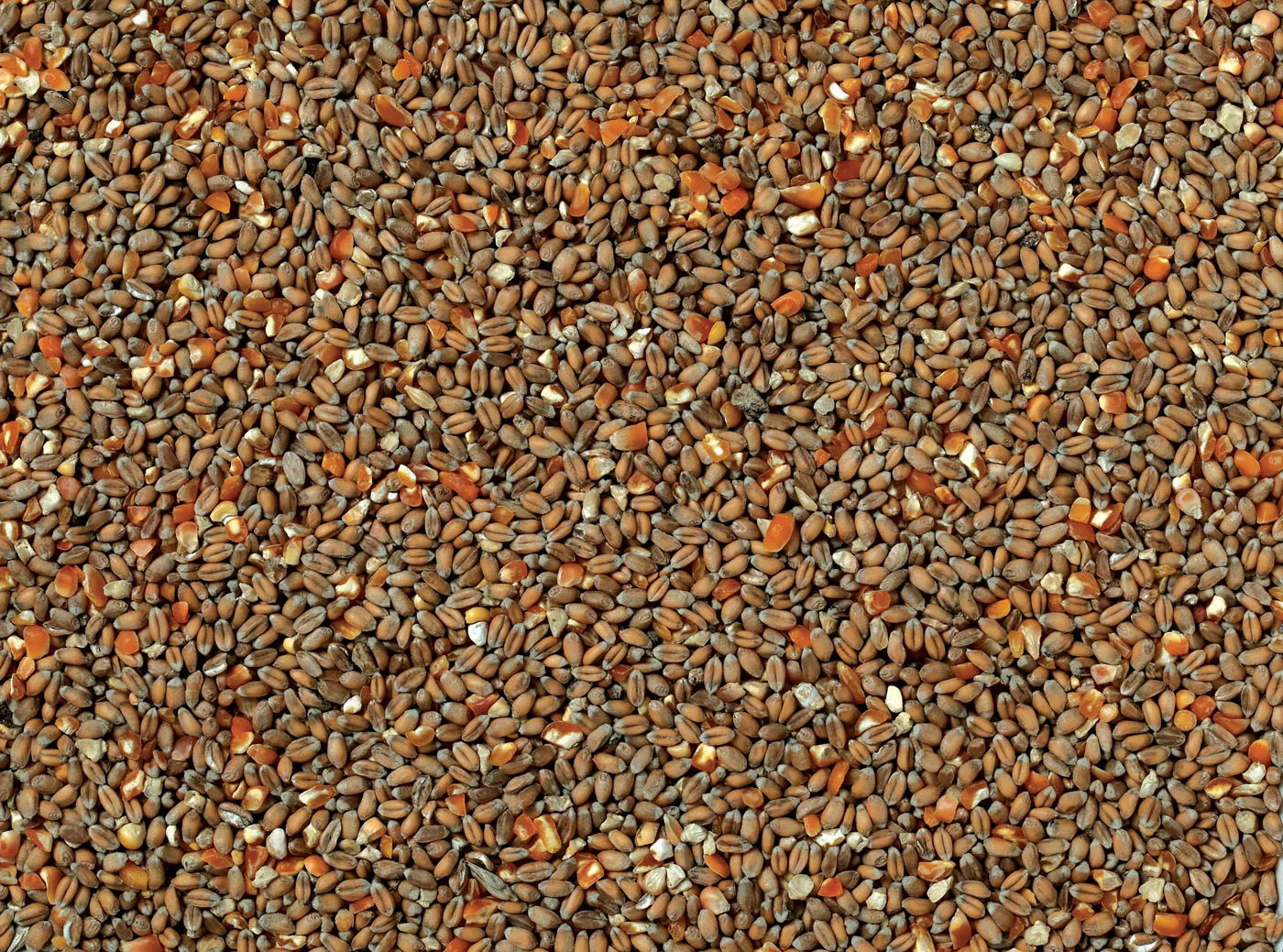J&j Mixed Poultry Corn 60/40 Mix 20kg
