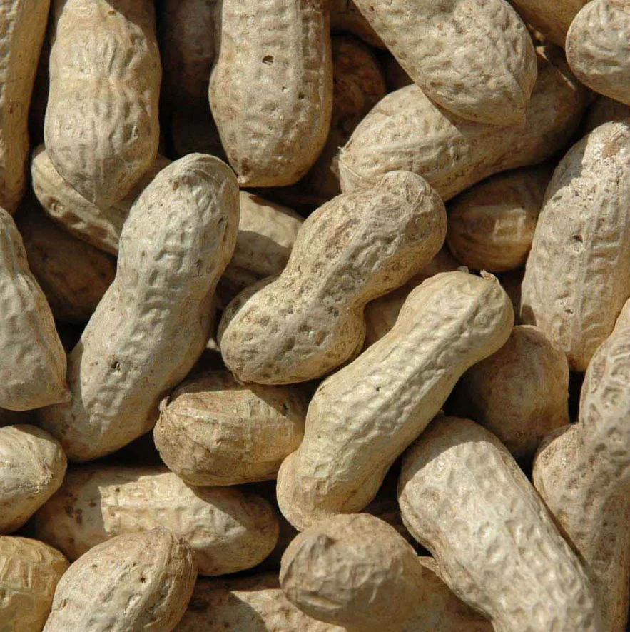 J&j Monkey Nuts 650g - Image 2