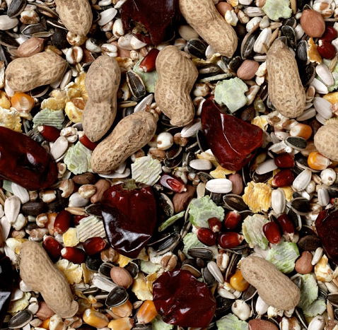 J&j No.1 Parrot Mix New Formula 2kg - Image 2
