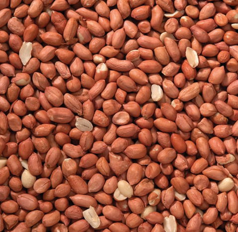 J&j Premium Peanuts 2kg - Image 2