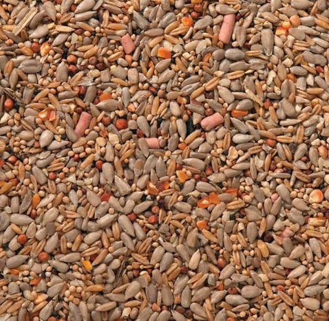J&j Premium Wild Bird Mix 2kg - Image 2