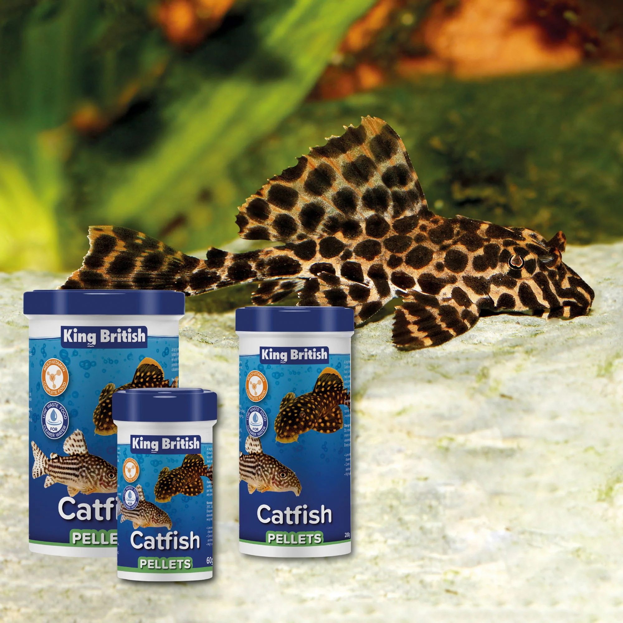 King British Catfish Pellets 60g - Image 4