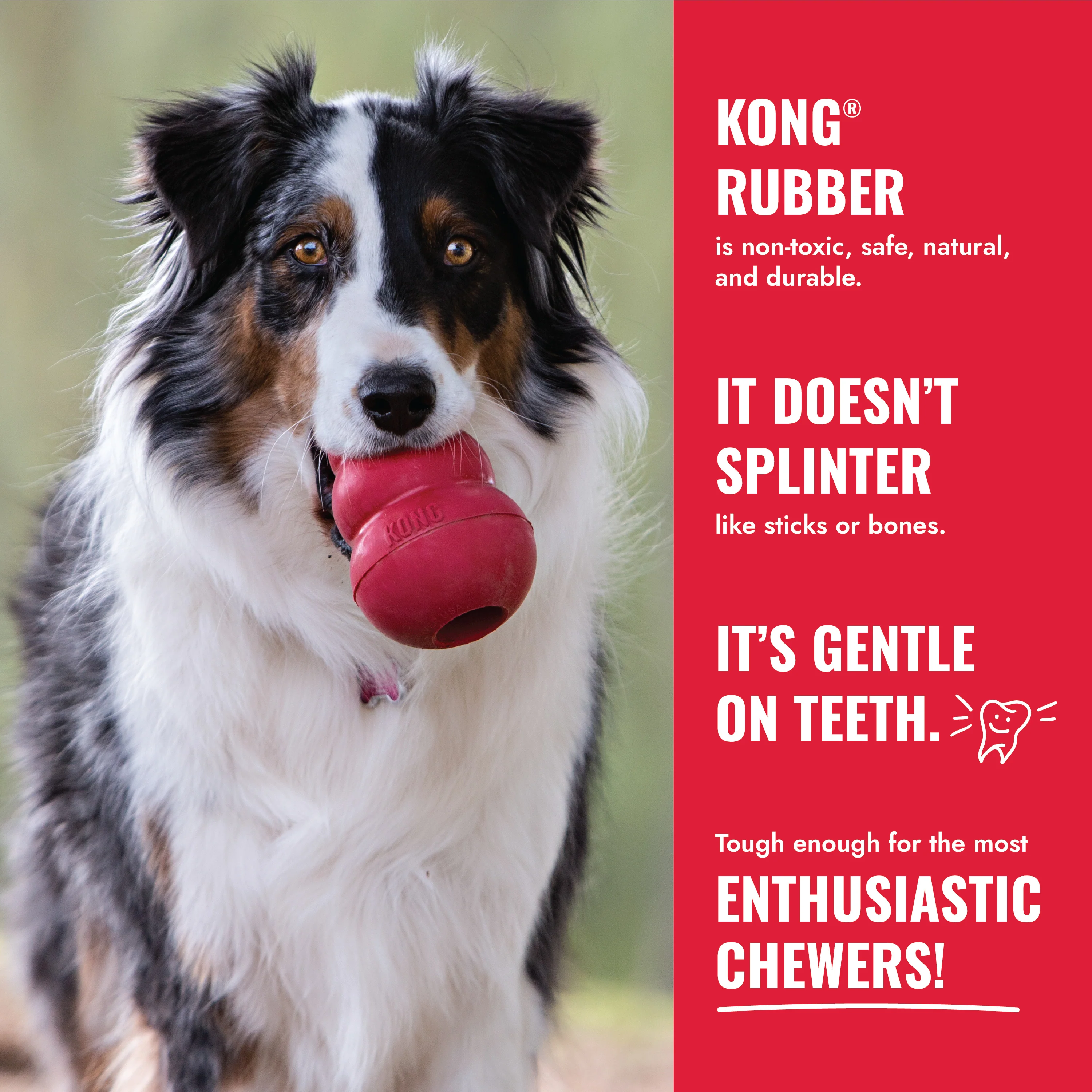 KONG Ball with Hole - Large - Image 4