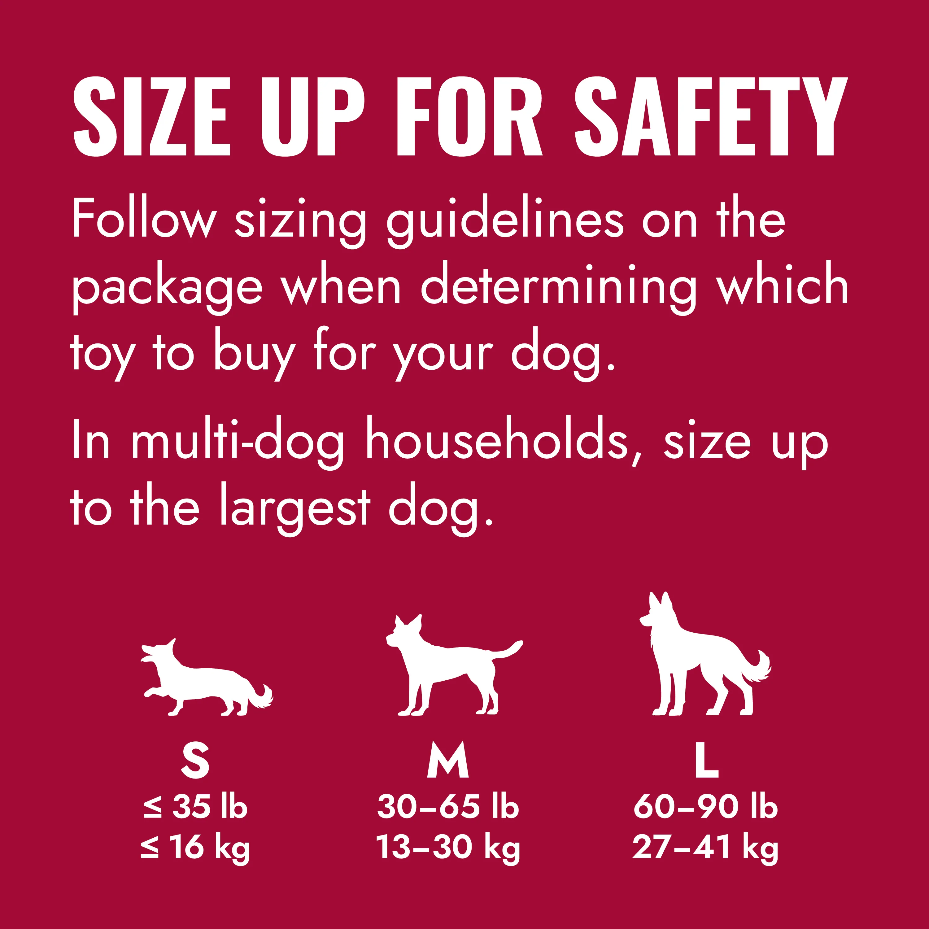 KONG Ball with Hole - Large - Image 5