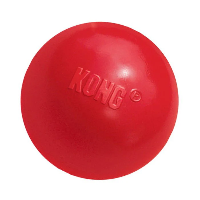 KONG Ball With Hole Small