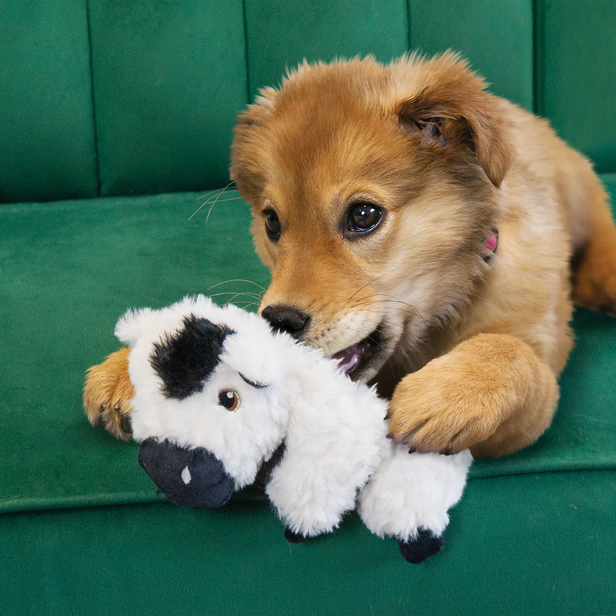 KONG Comfort Tykes Cow Dog Toy - Small - Image 3