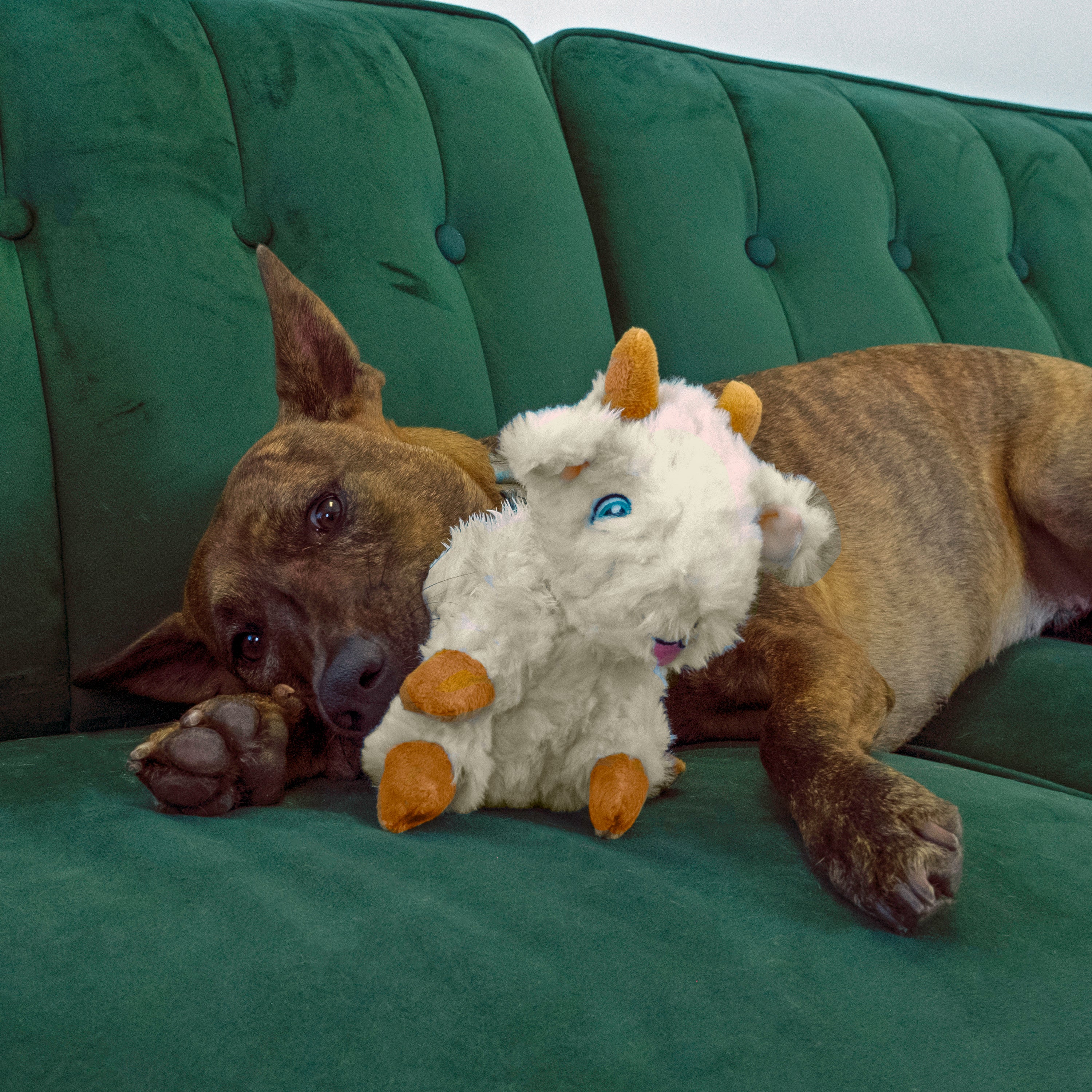 KONG Comfort Tykes Goat Dog Toy - Small - Image 2