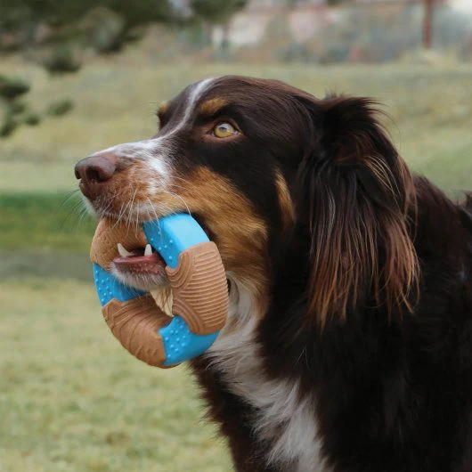 KONG Corestrength™ Bamboo Bone Large - Image 4
