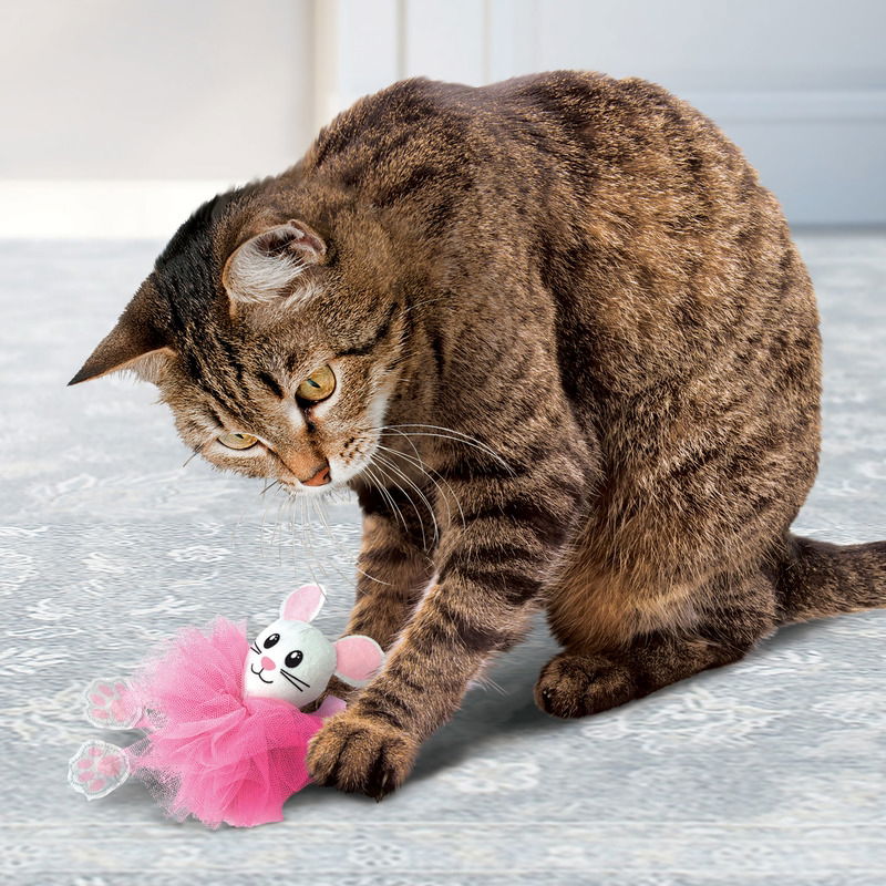 KONG Flingaroo Tutu Assorted - Image 4