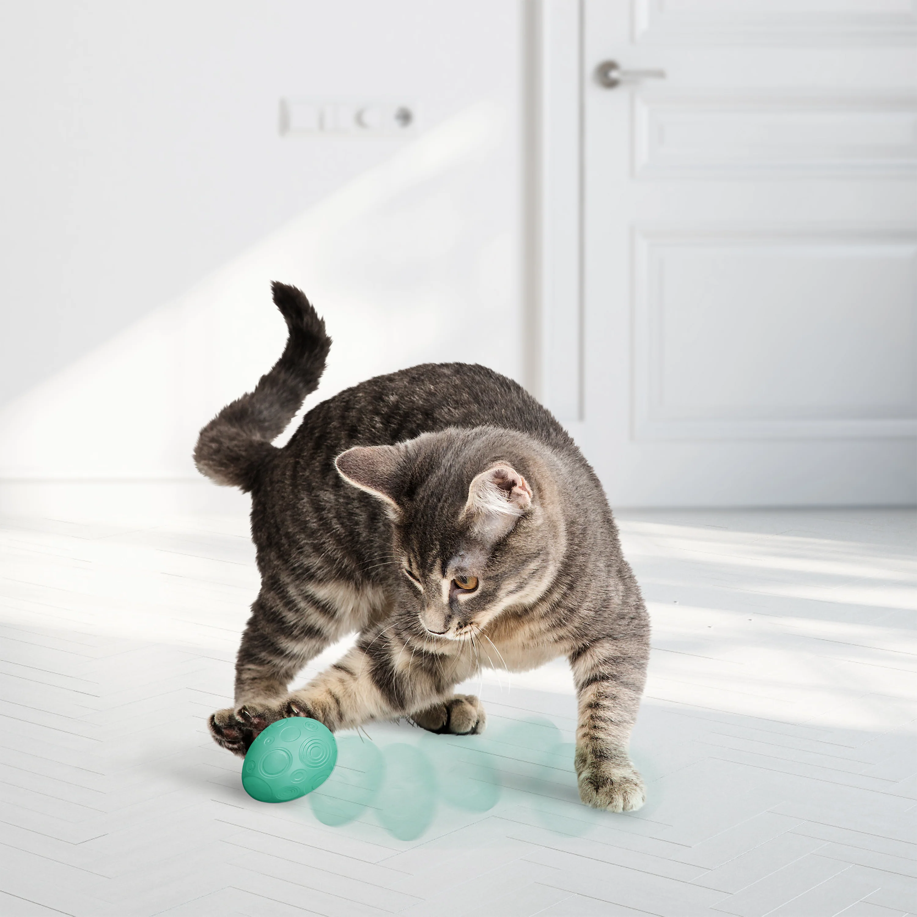 KONG Infused Catnip Egg 2 Pack - Image 3