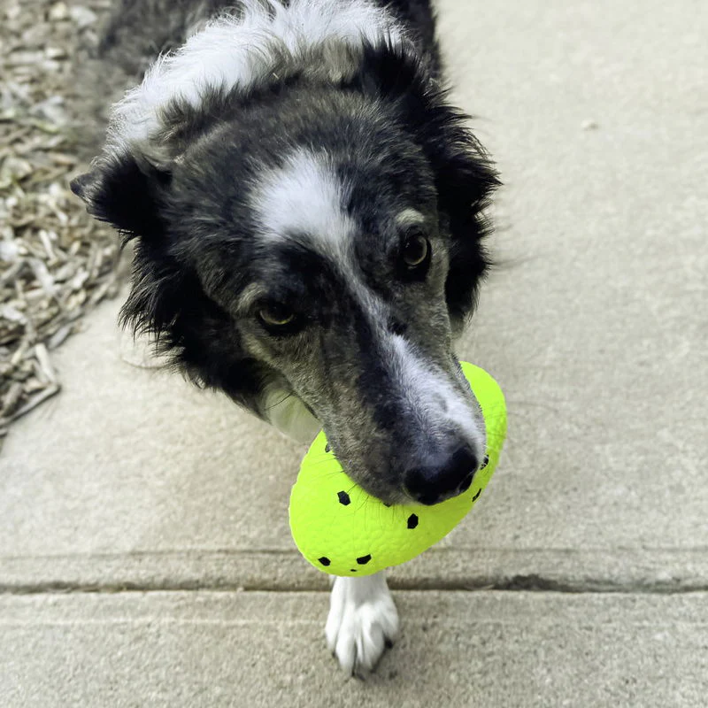 KONG Reflex Football Dog Toy - Medium/Large - Image 4